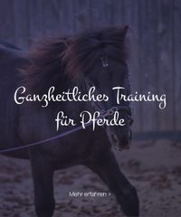 Gesundes Training für Pferde | Langenneufnach | Augsburg